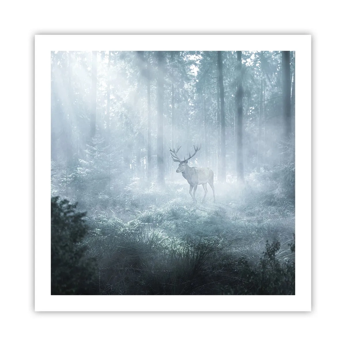 Plakat - Morgenvandring rundt på godset - 60x60 cm