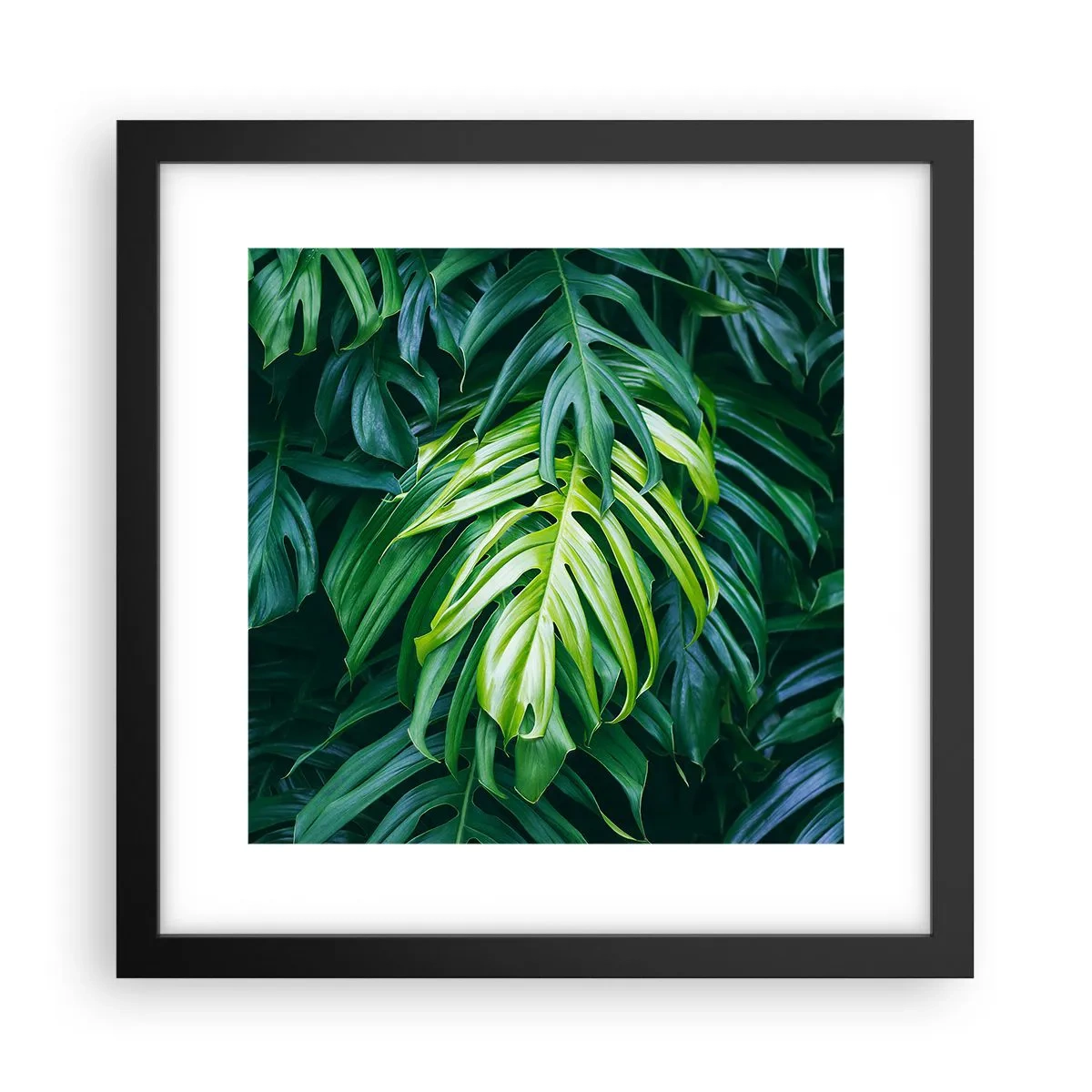Plakat i sort ramme - Fordyb dig i friskhed - 30x30 cm