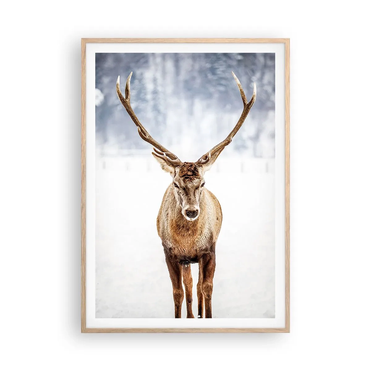 Plakat i ramme af lyst egetræ - Lige ud af snedisen - 70x100 cm