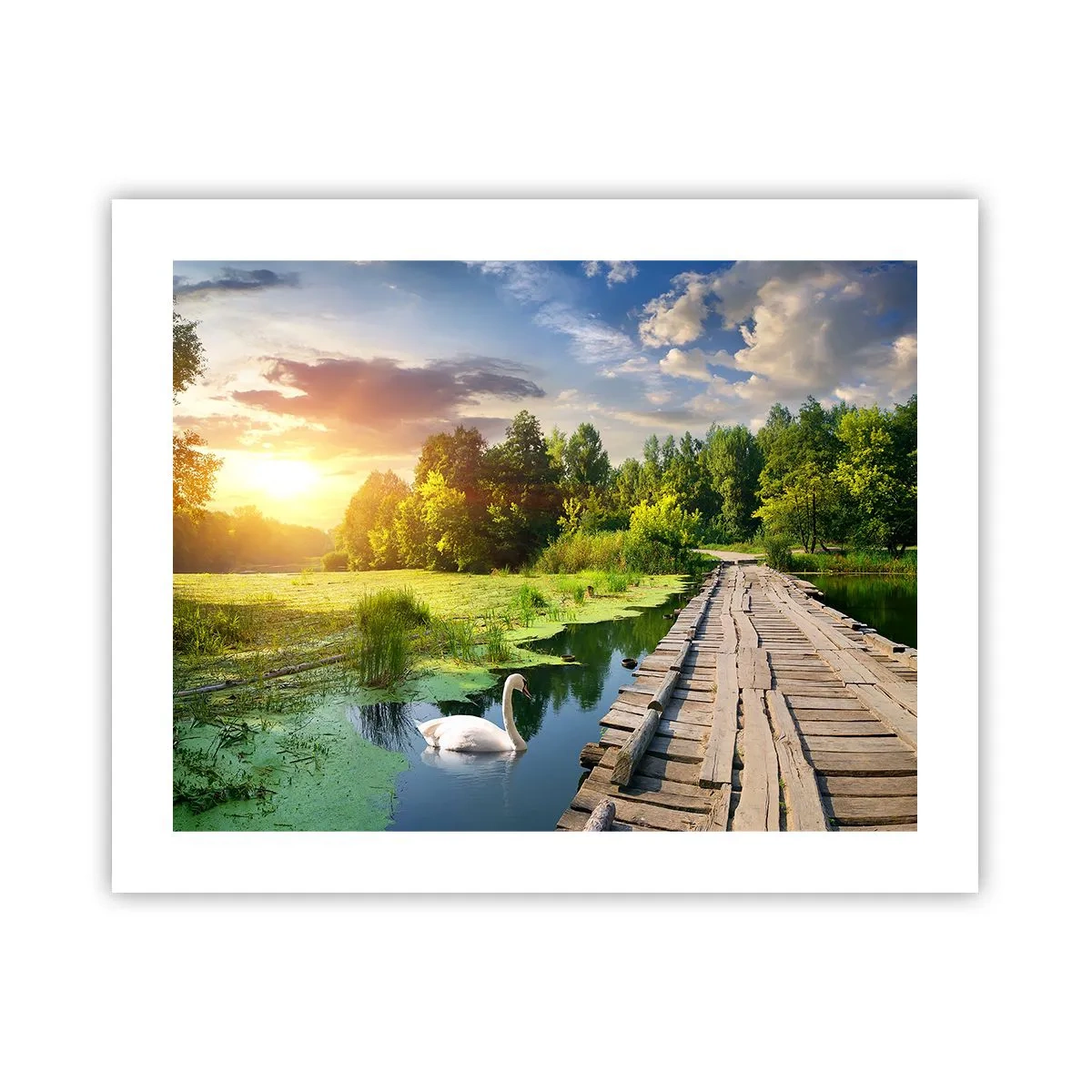 Plakat - Sommer, sommer overalt - 50x40 cm