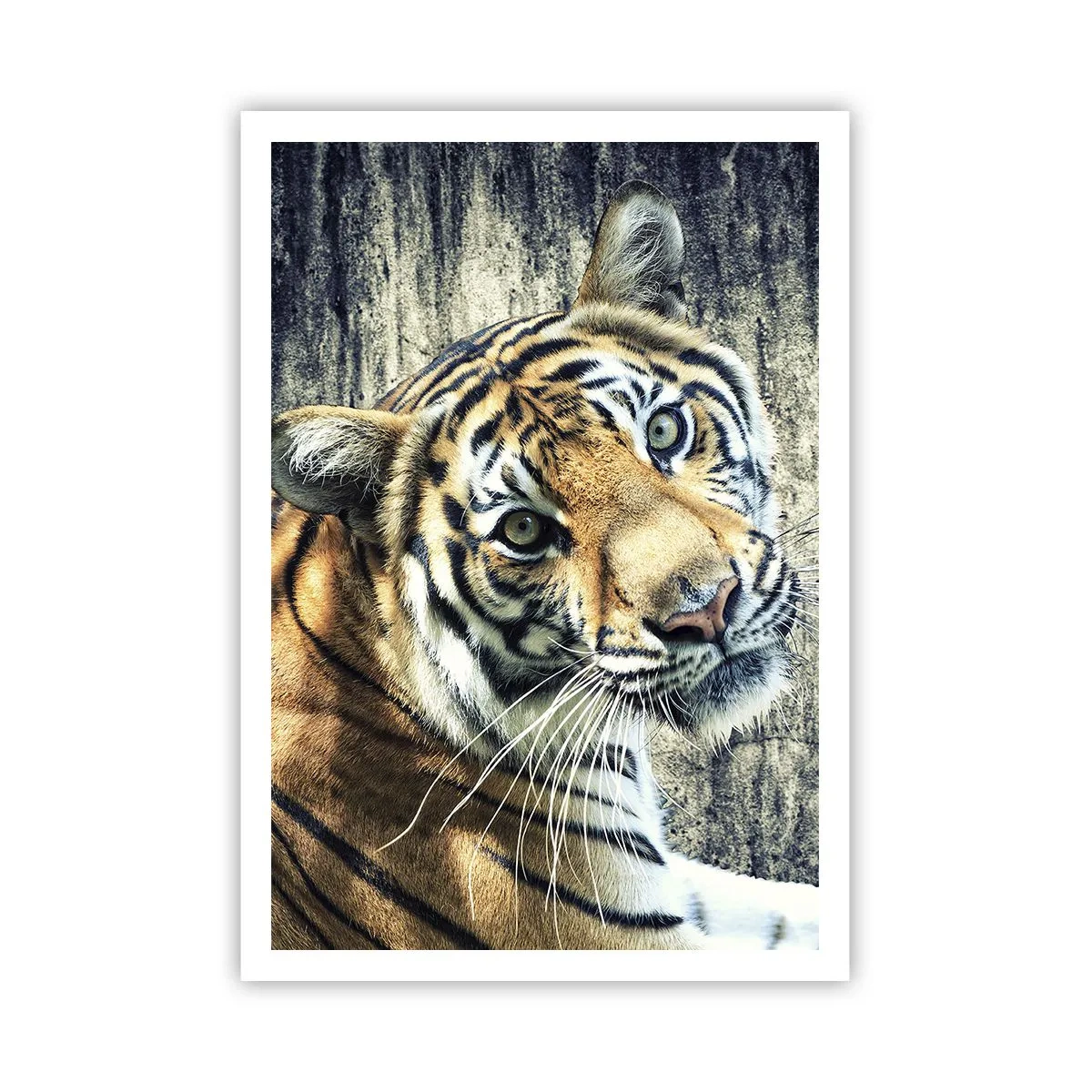 Plakat - Portræt i lysstrømme - 70x100 cm