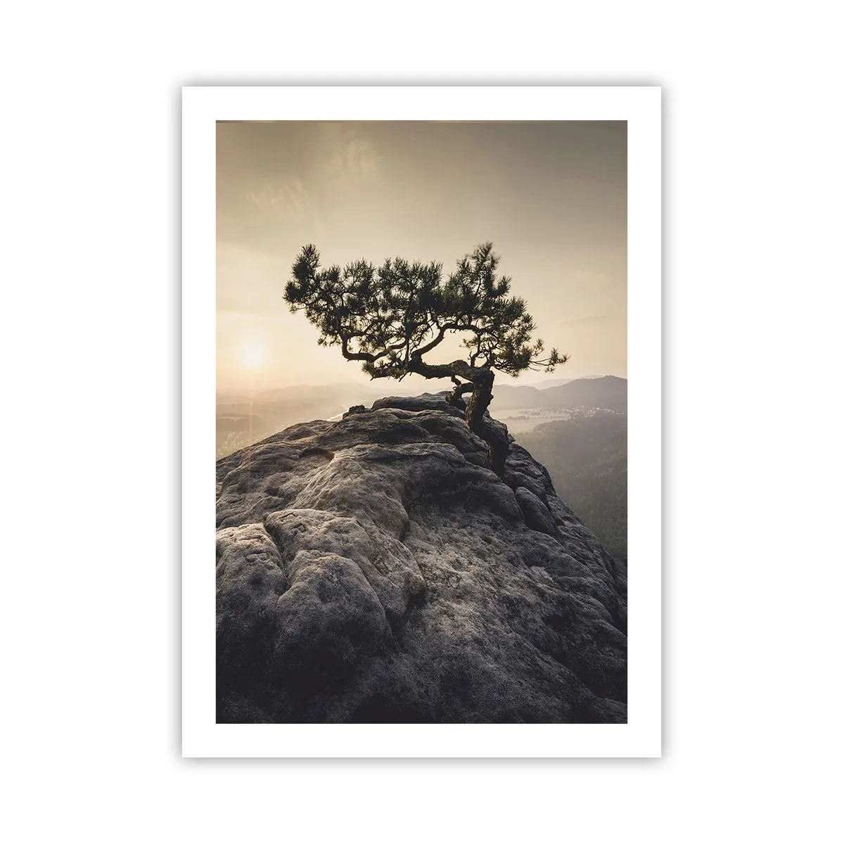 Plakat - Livet vinder altid - 50x70 cm