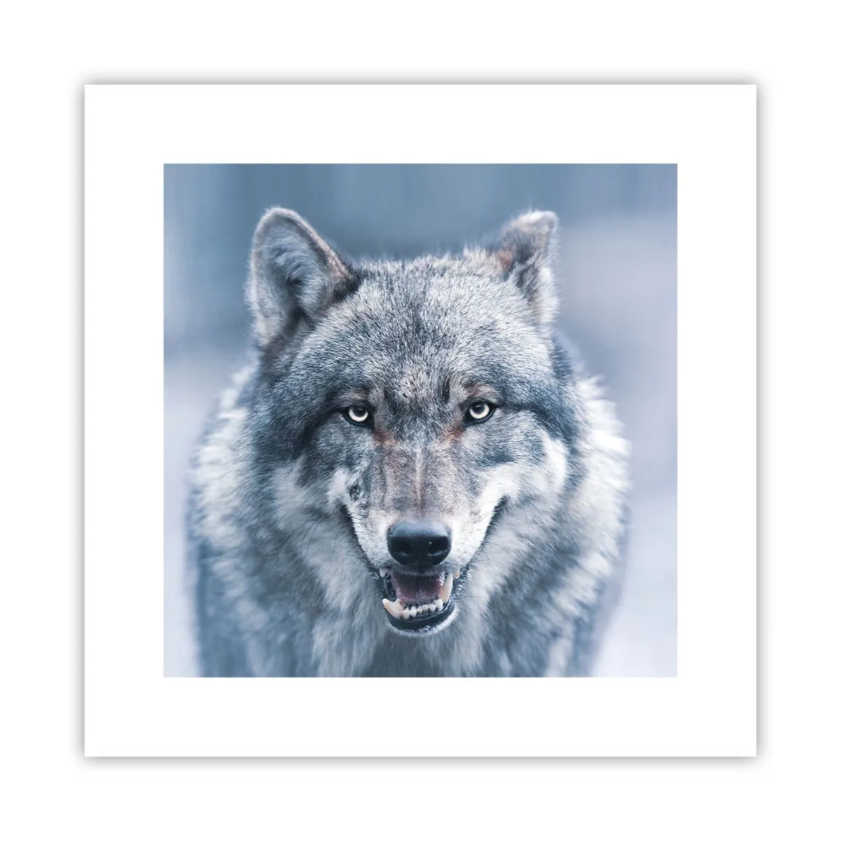 Plakat - Vil du tage udfordringen op? - 30x30 cm