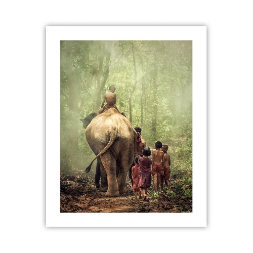 Plakat - Den nye Junglebog - 40x50 cm