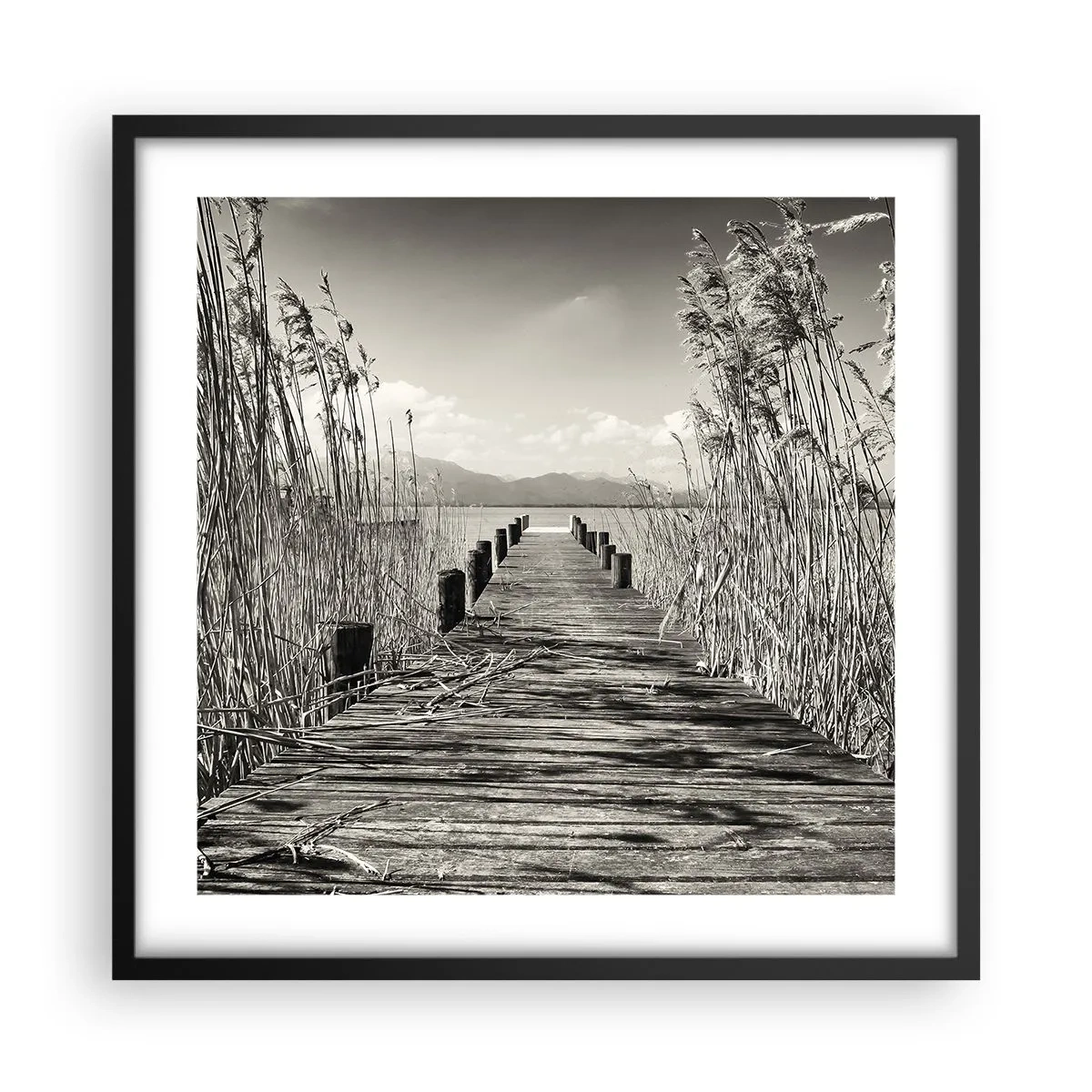 Plakat i sort ramme - I græssernes fred - 50x50 cm