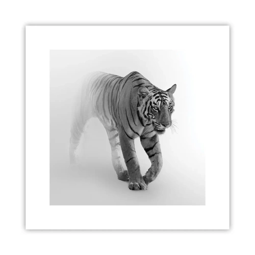 Plakat - Krybende i tågen - 30x30 cm