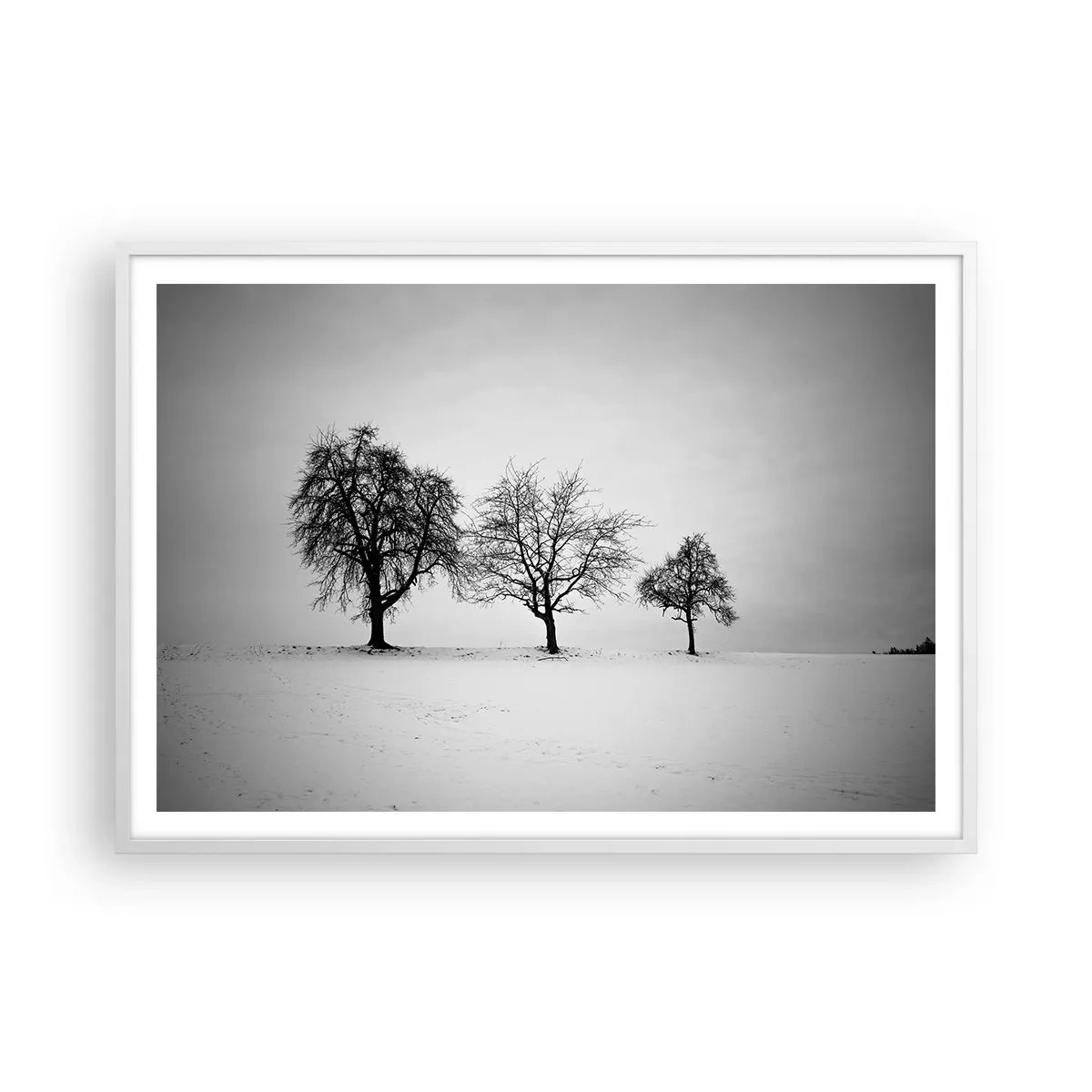 Plakat i hvid ramme - Hvad drømmer de om? - 100x70 cm