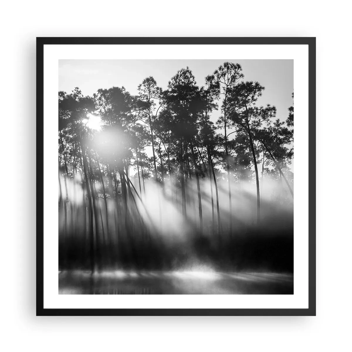 Plakat i sort ramme - Ustoppelig sol - 60x60 cm