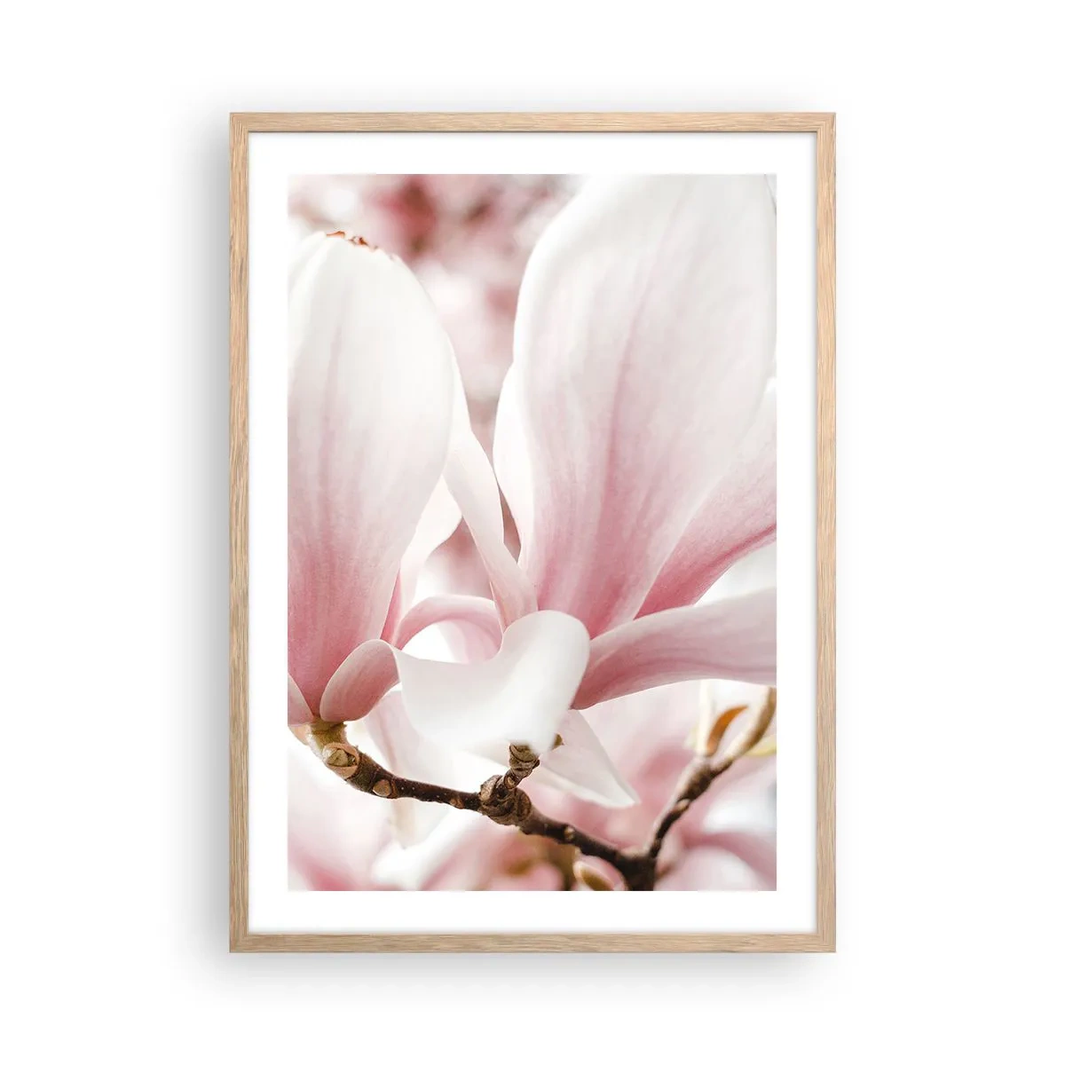 Plakat i ramme af lyst egetræ - Ømhedens umådelighed - 50x70 cm