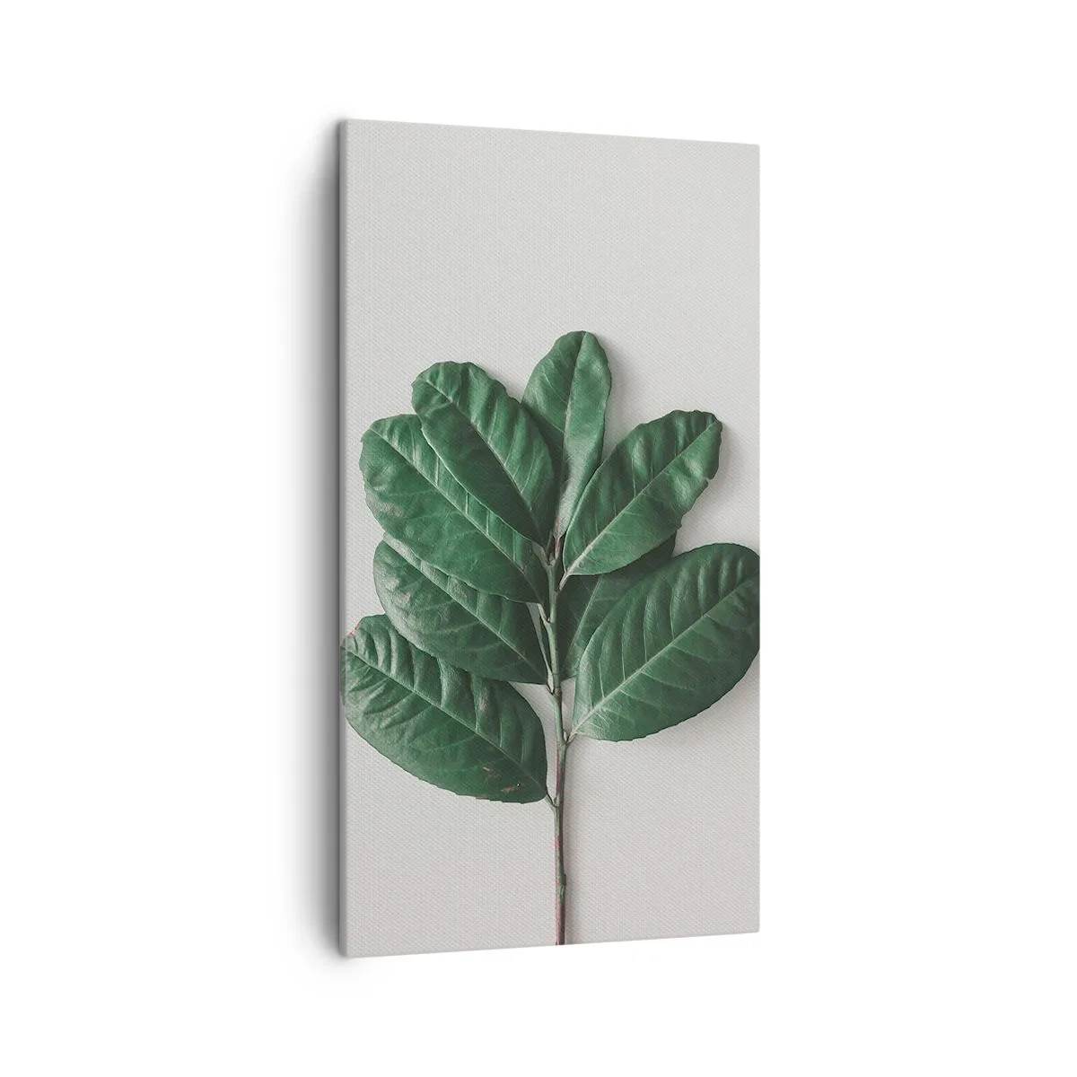 Lærredstryk - Billede på lærred - Tegning af selve naturen - 45x80 cm