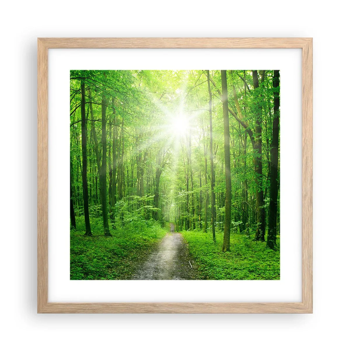 Plakat i ramme af lyst egetræ - Grøn katedral - 40x40 cm