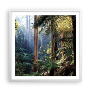 Plakat i hvid ramme - En fortælling om skoven - 60x60 cm