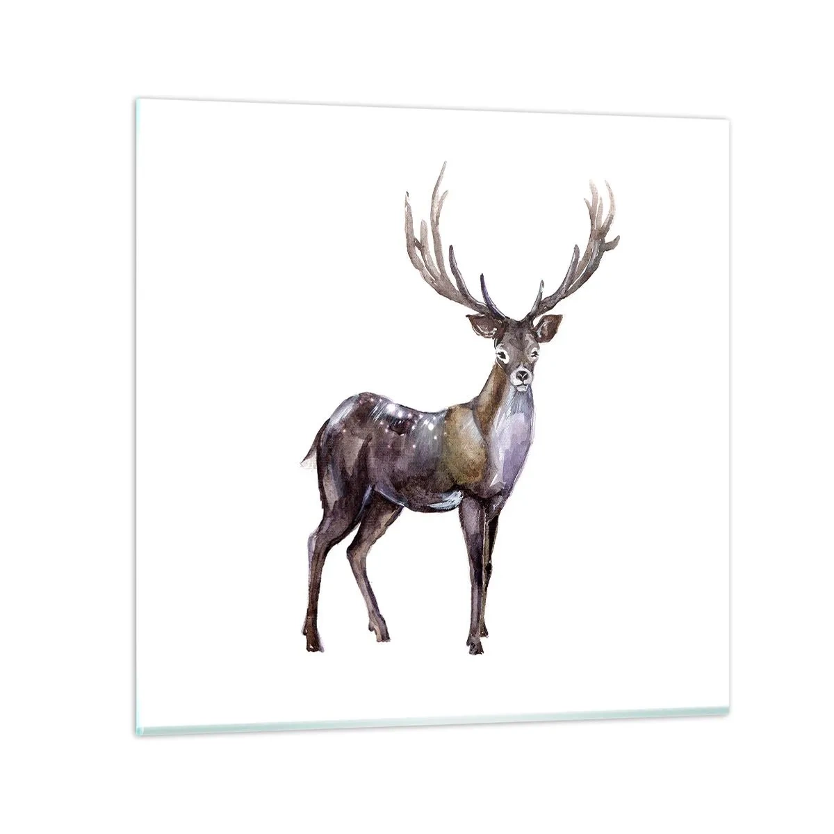 Billede på glas - Kongen af den nordlige ødemark - 70x70 cm