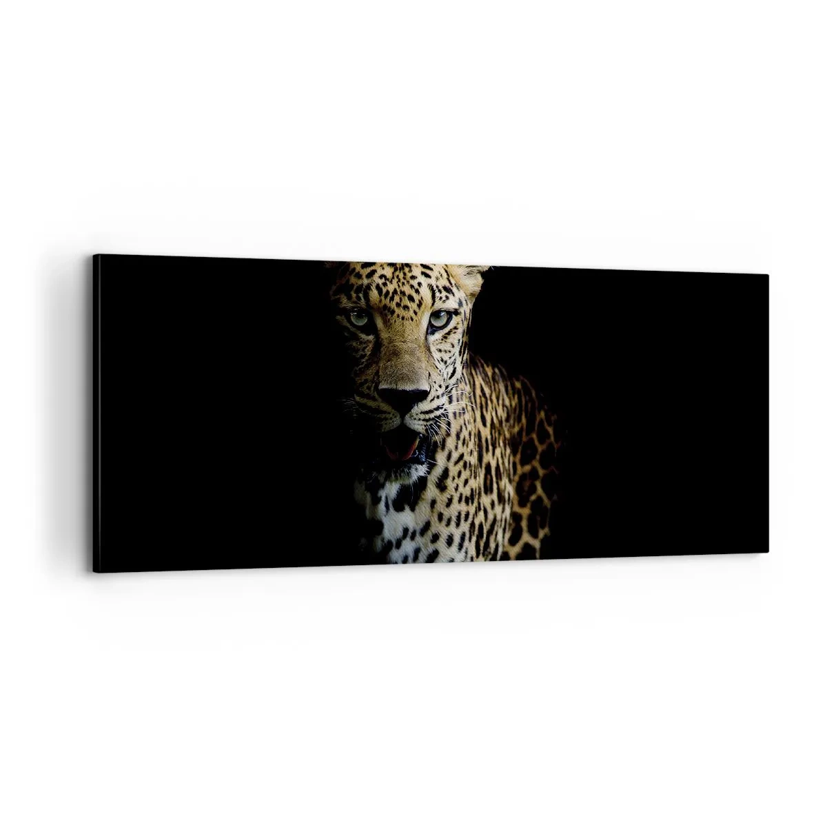 Lærredstryk - Billede på lærred - Mørk skønhed - 100x40 cm