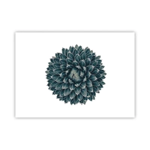 Plakat - Ørkenstjerne - 70x50 cm