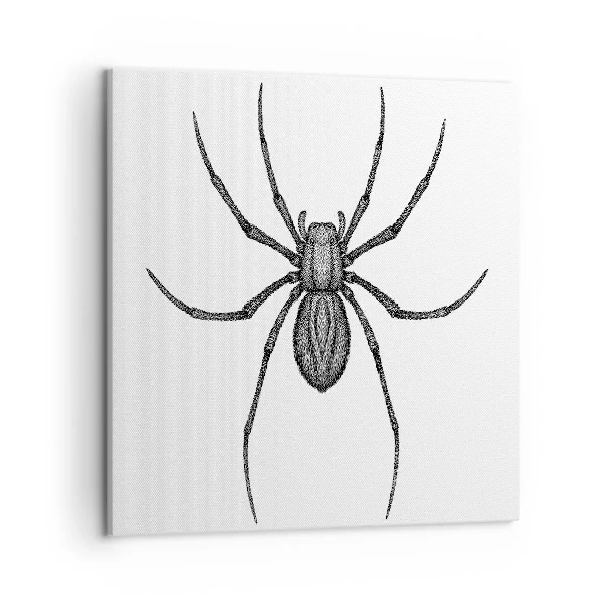 Lærredstryk - Billede på lærred - Foruroligende præcision - 50x50 cm