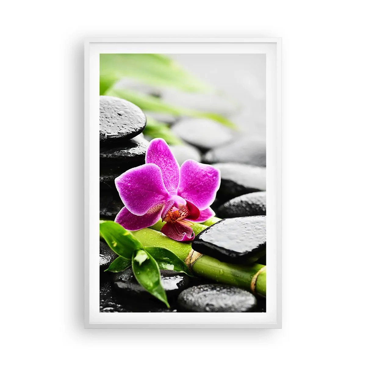 Plakat i hvid ramme - I en fredelig balance - 61x91 cm