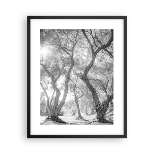 Plakat i sort ramme - I en olivenlund - 40x50 cm