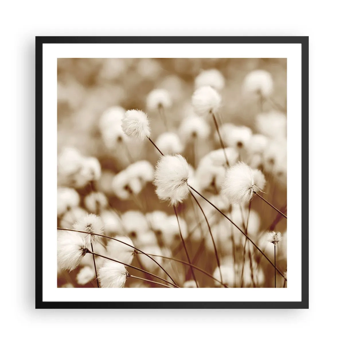 Plakat i sort ramme - Fyldig mark - 60x60 cm