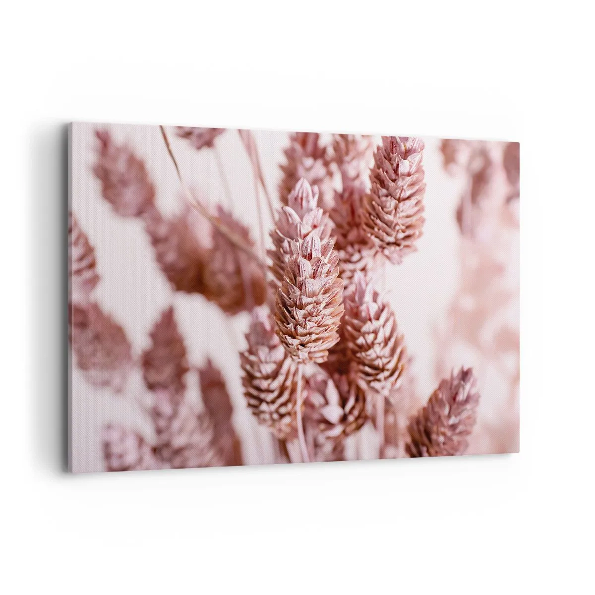 Lærredstryk - Billede på lærred - Tilsyneladende ubemærket - 120x80 cm