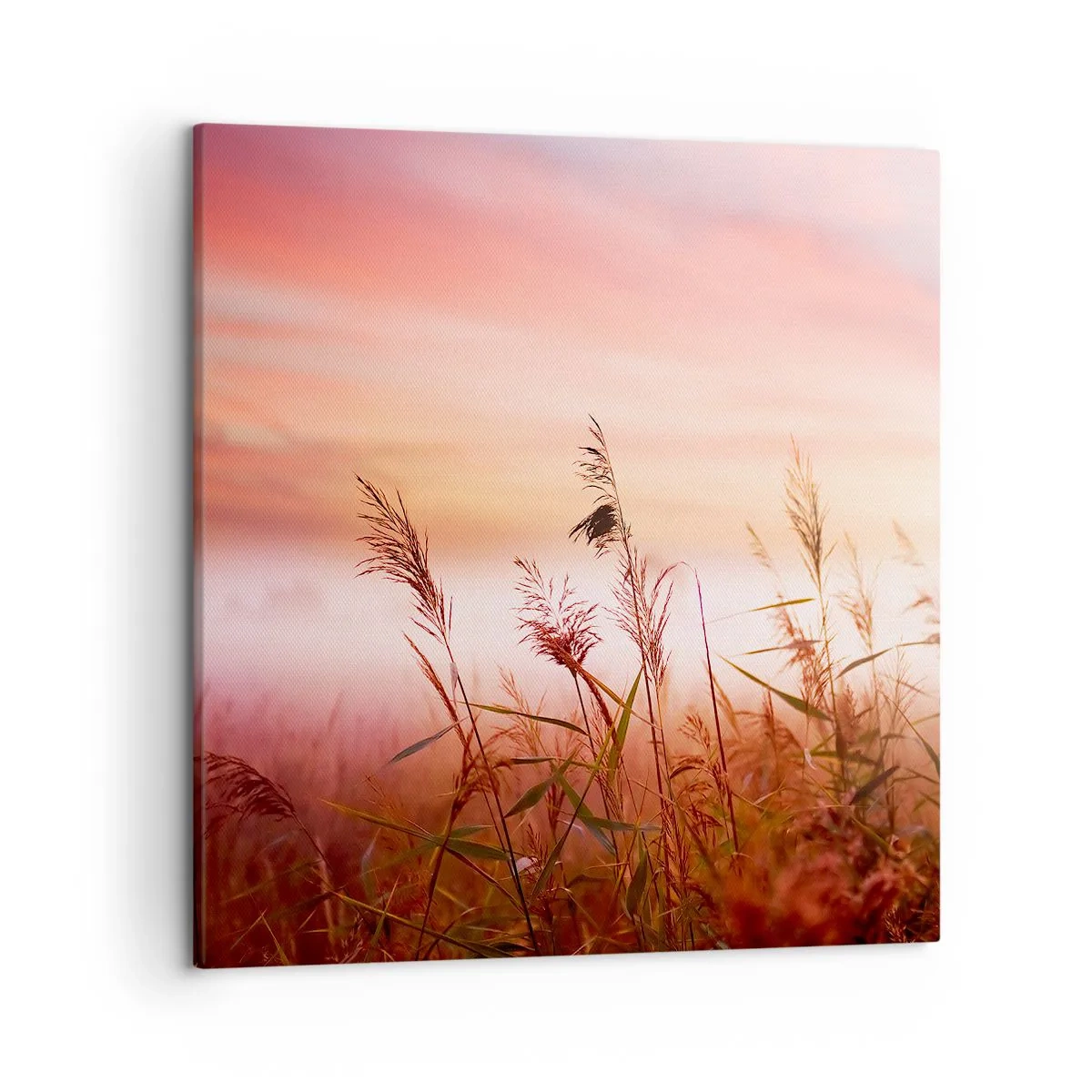 Lærredstryk - Billede på lærred - Drager, blæsere, vind - 50x50 cm