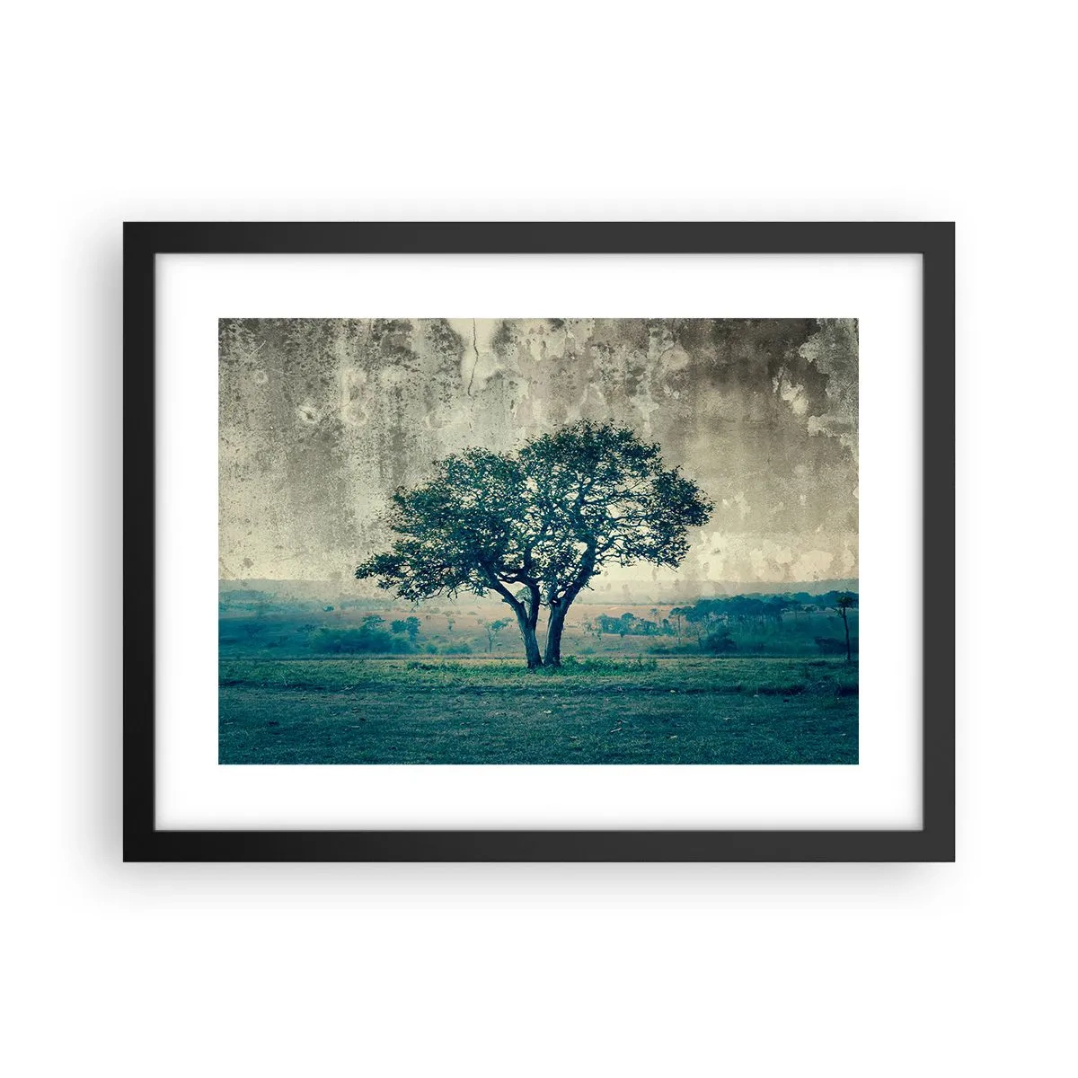 Plakat i sort ramme - Et æbletræ på en blå membran? - 40x30 cm