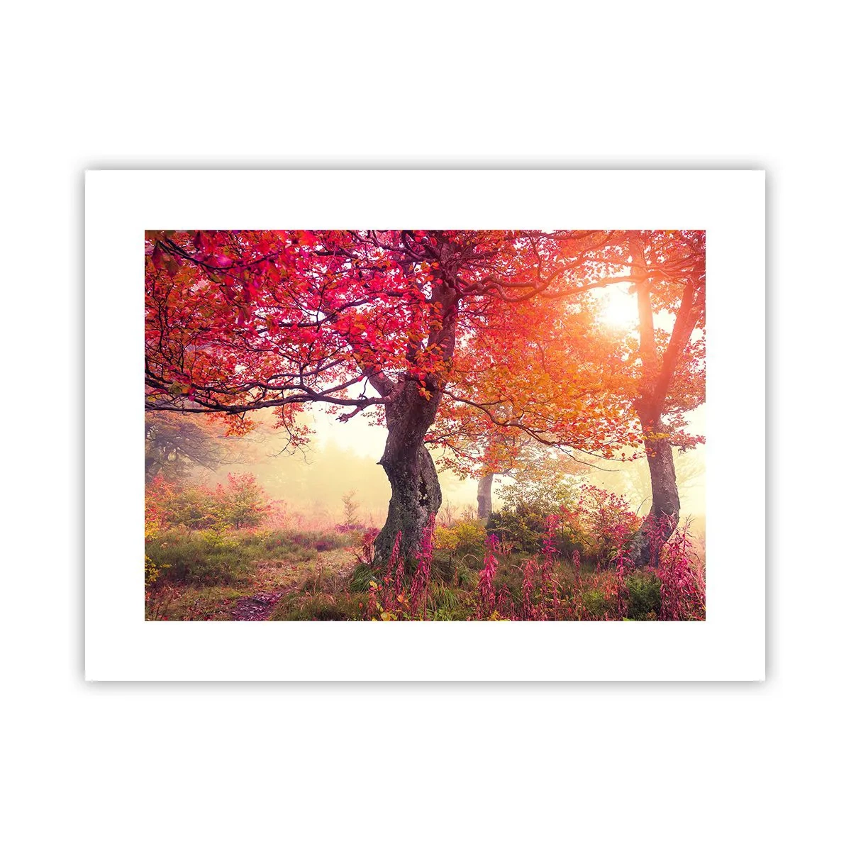 Plakat - Et væld af blomstring - 40x30 cm