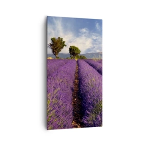 Lærredstryk - Billede på lærred - Enge med lavendel - 55x100 cm