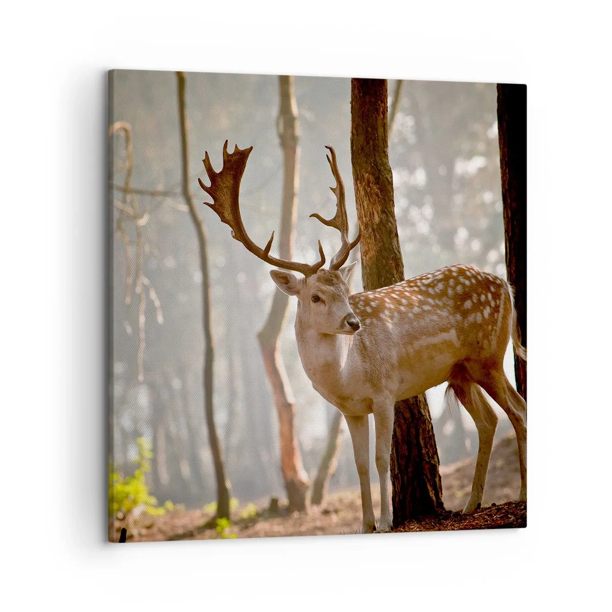 Lærredstryk - Billede på lærred - Ungdommens lys - 50x50 cm