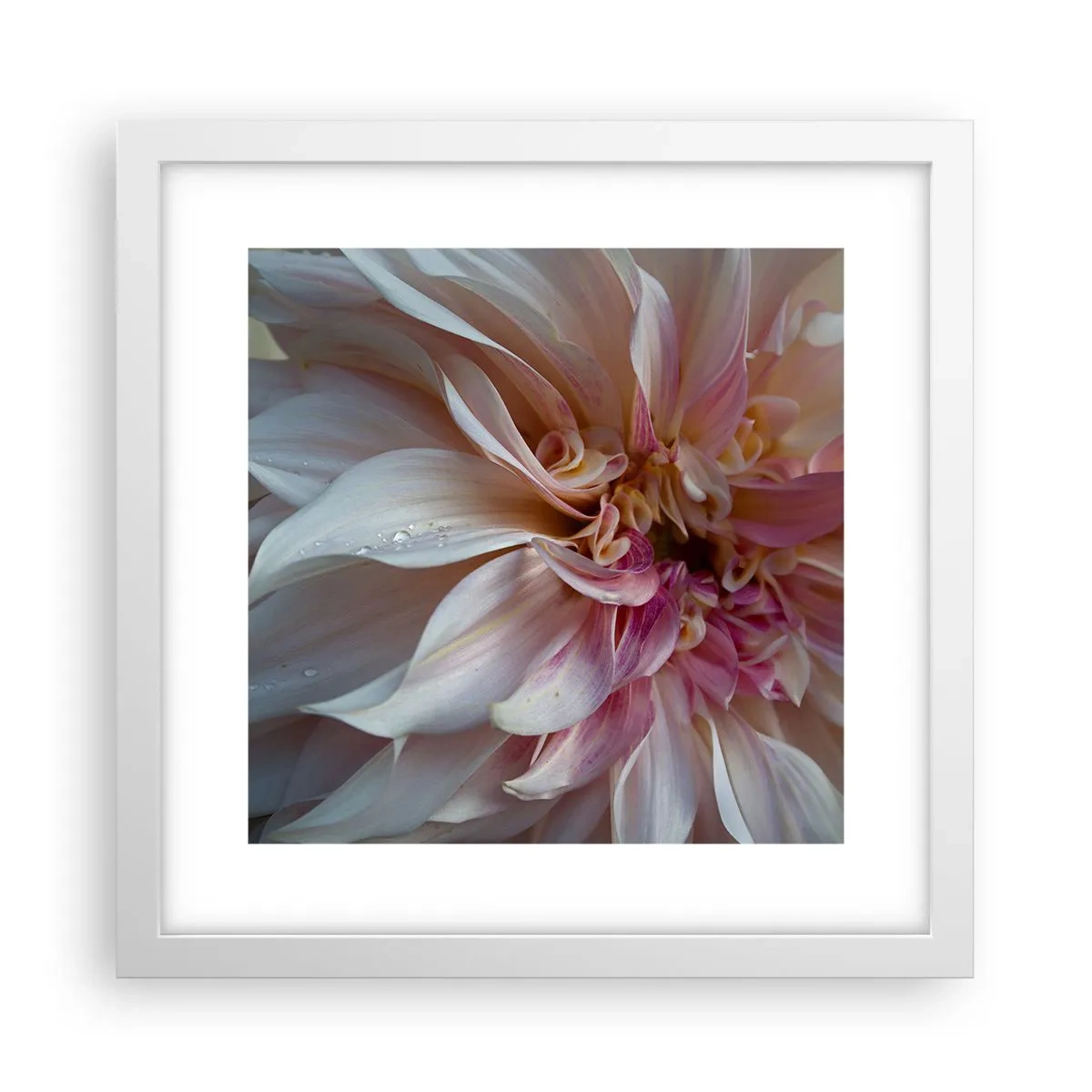 Plakat i hvid ramme - Blomstrende friskhed - 30x30 cm