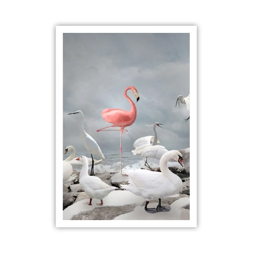 Plakat - Hvor kommer jeg fra? - 70x100 cm