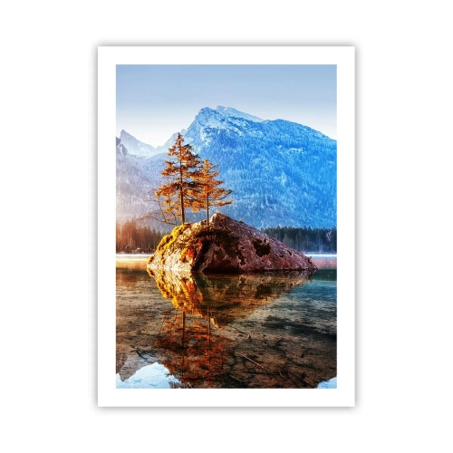 Plakat - Naturen i et nyt lys - 50x70 cm