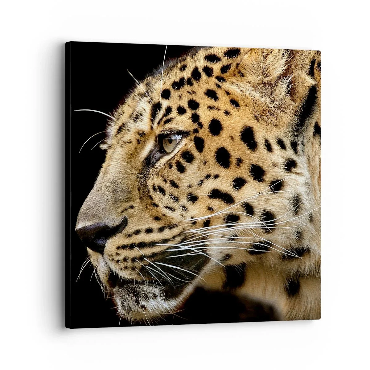 Lærredstryk - Billede på lærred - Rolig, fokuseret, klar - 30x30 cm