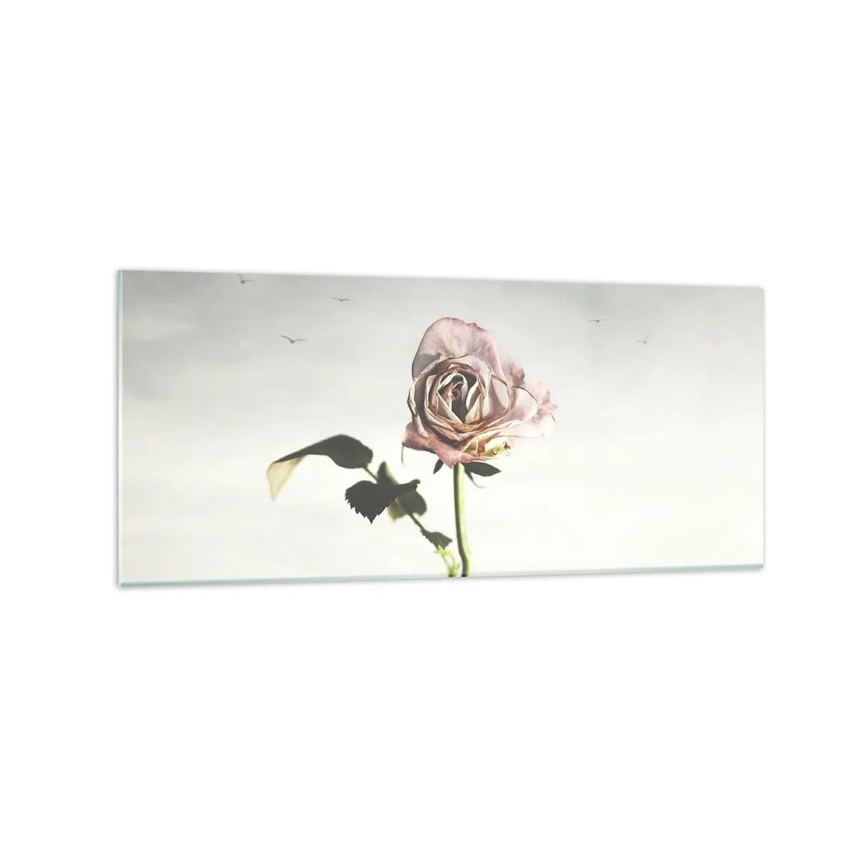 Billede på glas - Velkomst til foråret - 120x50 cm