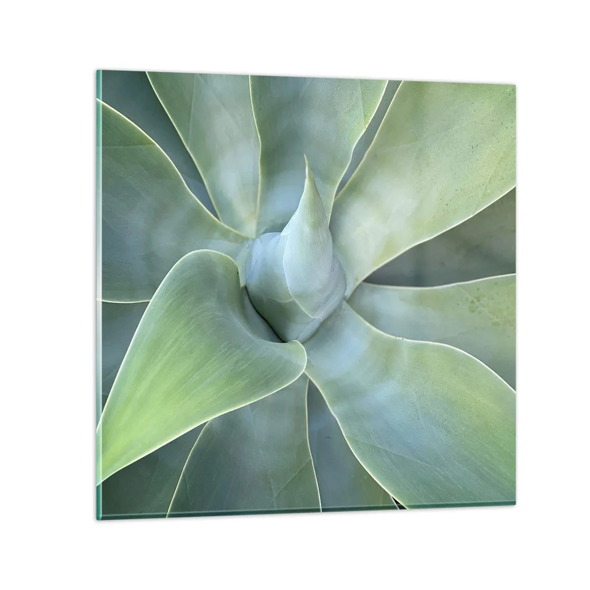 Billede på glas - Den grønne fødsel - 70x70 cm