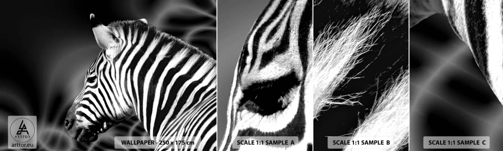 Fototapet Prøve Standard Eco - Hvid er hvid og sort er sort - Ribben, Sort og hvid, Dyr - 100x30 cm