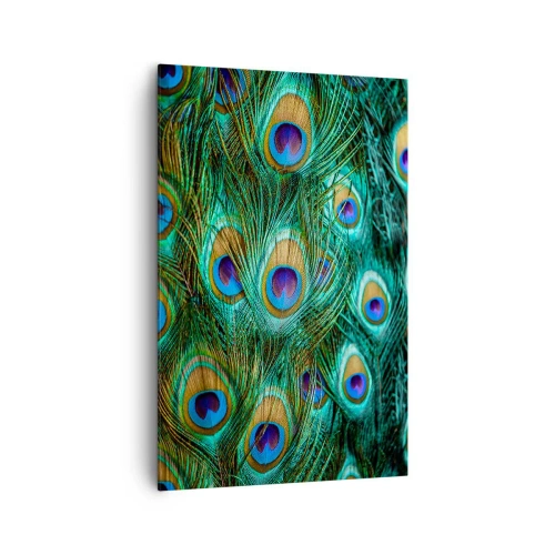 Lærredstryk - Billede på lærred - En påfugls blik - 80x120 cm