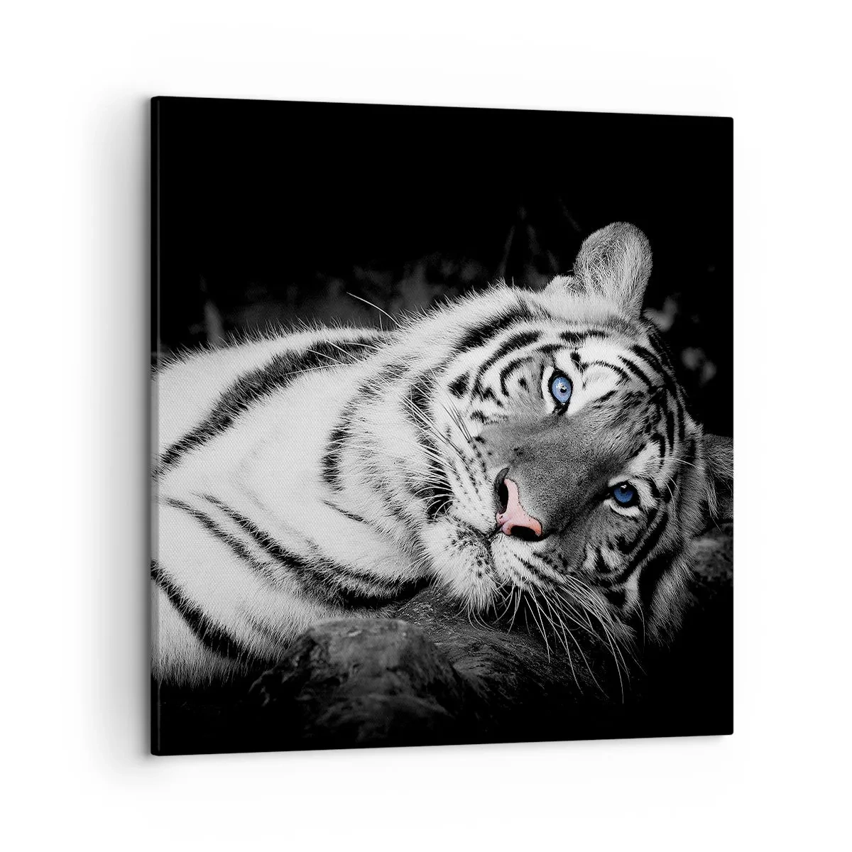 Lærredstryk - Billede på lærred - Vildskab og fred - 50x50 cm