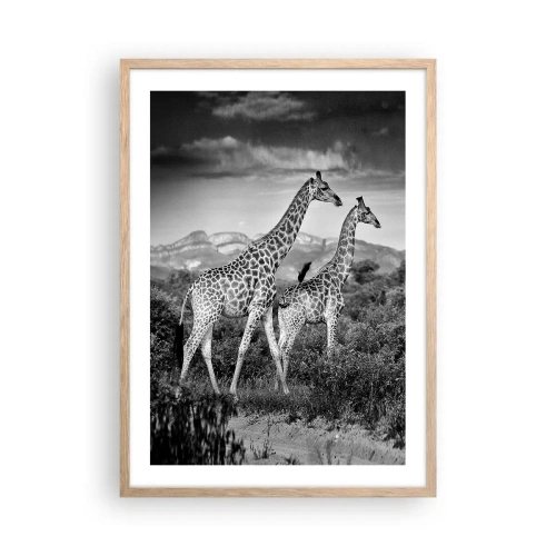 Plakat i ramme af lyst egetræ - Afrikas overklasse - 50x70 cm