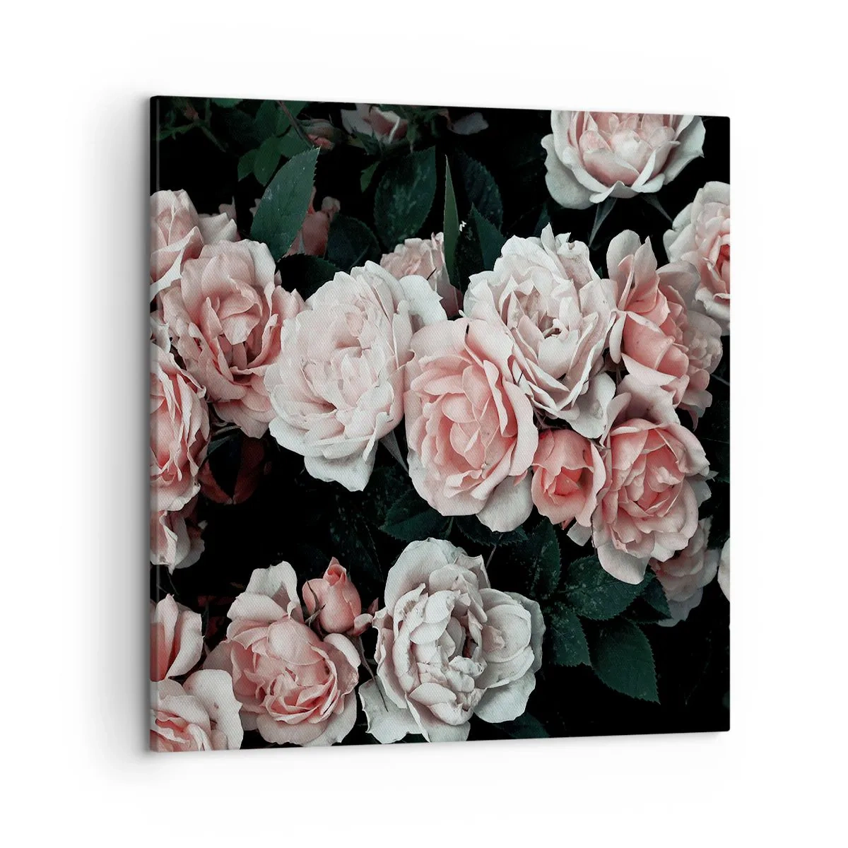 Lærredstryk - Billede på lærred - Lyserød ansamble - 50x50 cm