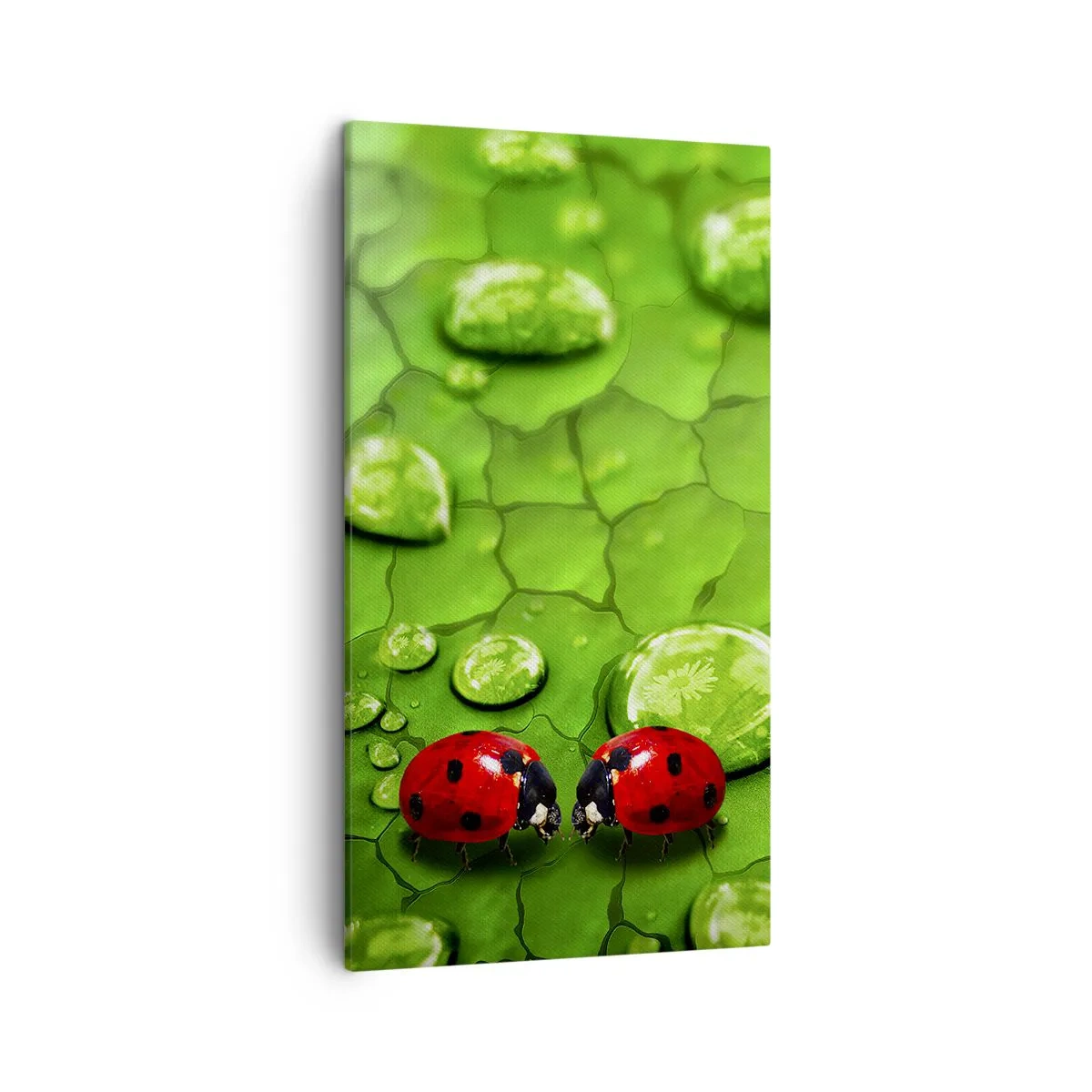 Lærredstryk - Billede på lærred - Møde i det grønne - 45x80 cm