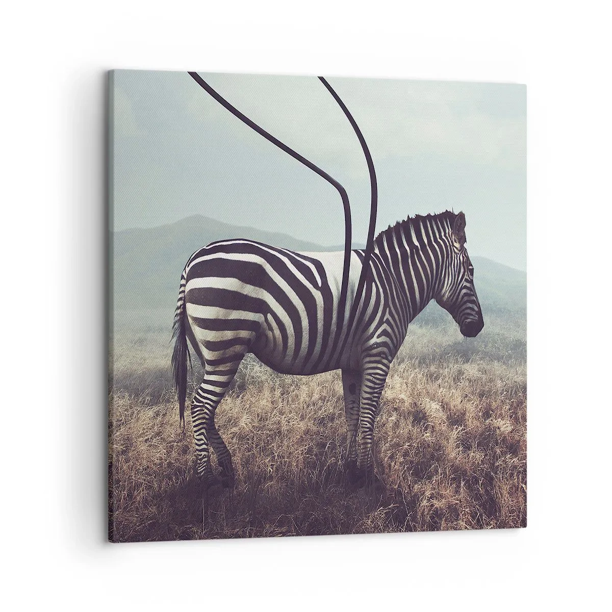 Lærredstryk - Billede på lærred - OBS! Fejl - 50x50 cm