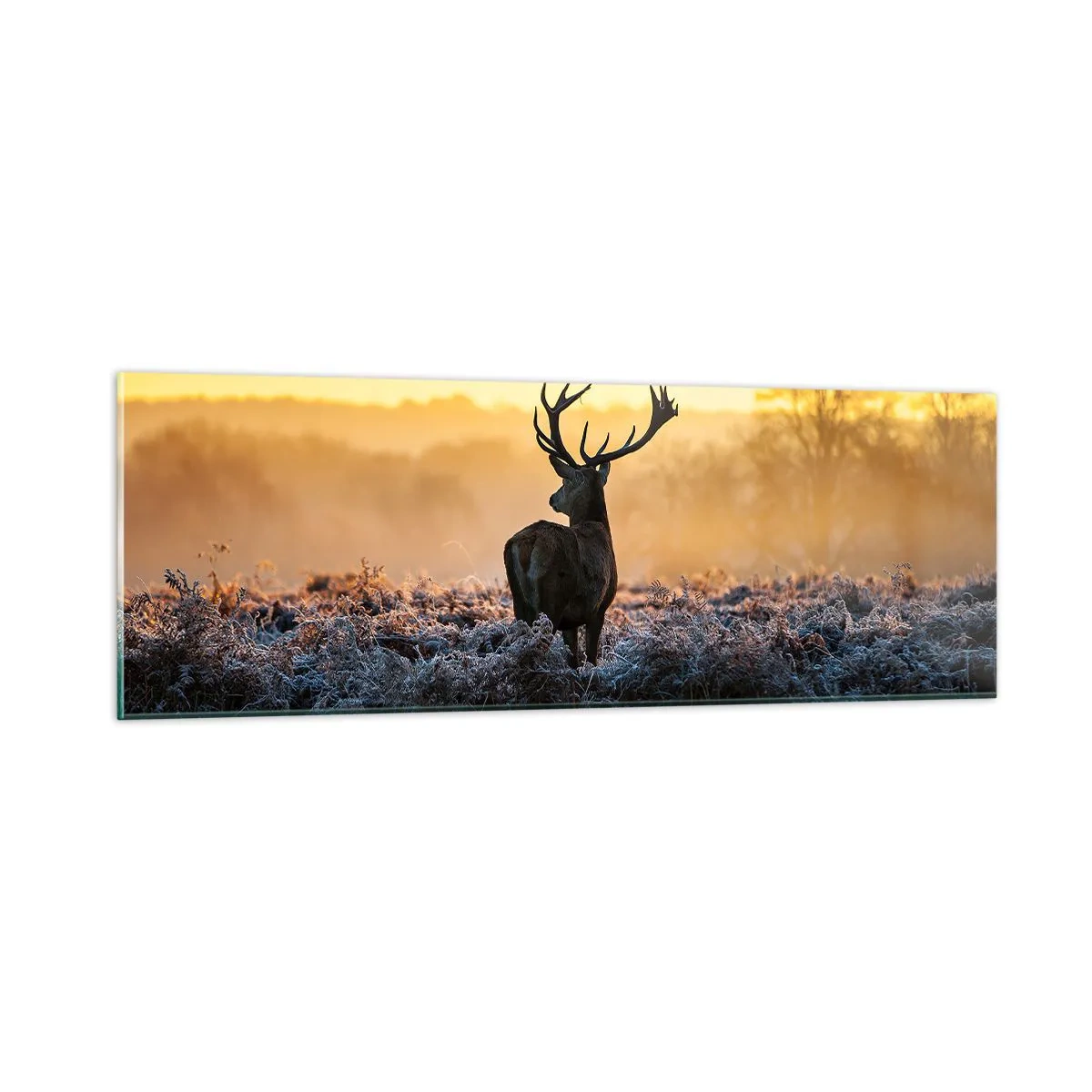 Billede på glas - Kronet på sine godser - 90x30 cm
