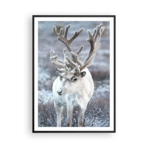 Plakat i sort ramme - Portræt i solen - 70x100 cm