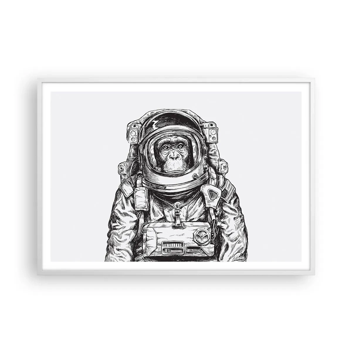 Plakat i hvid ramme - Alternativ evolution - 100x70 cm