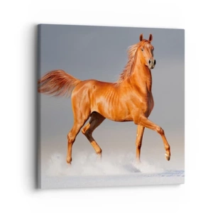 Lærredstryk - Billede på lærred - Dansende ynde - 30x30 cm