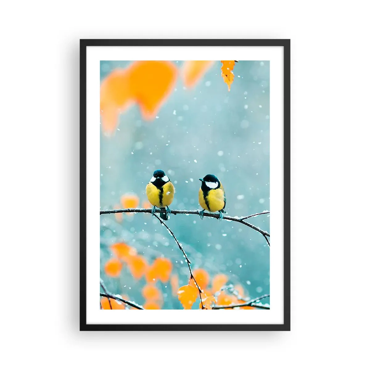 Plakat i sort ramme - To bryster sidder på en gren i et vinterlandskab - 50x70cm - Sladder om fugle - Moderne vægdekoration til stue og soveværelse ARTTOR