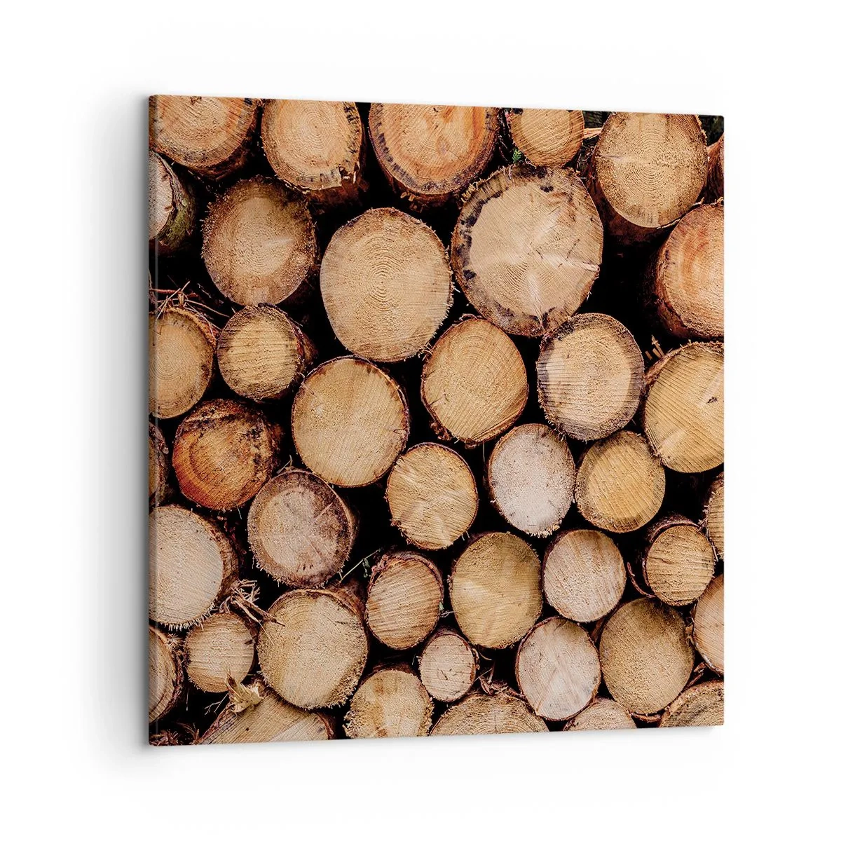 Lærredstryk - Billede på lærred - En ny begyndelse - 50x50 cm