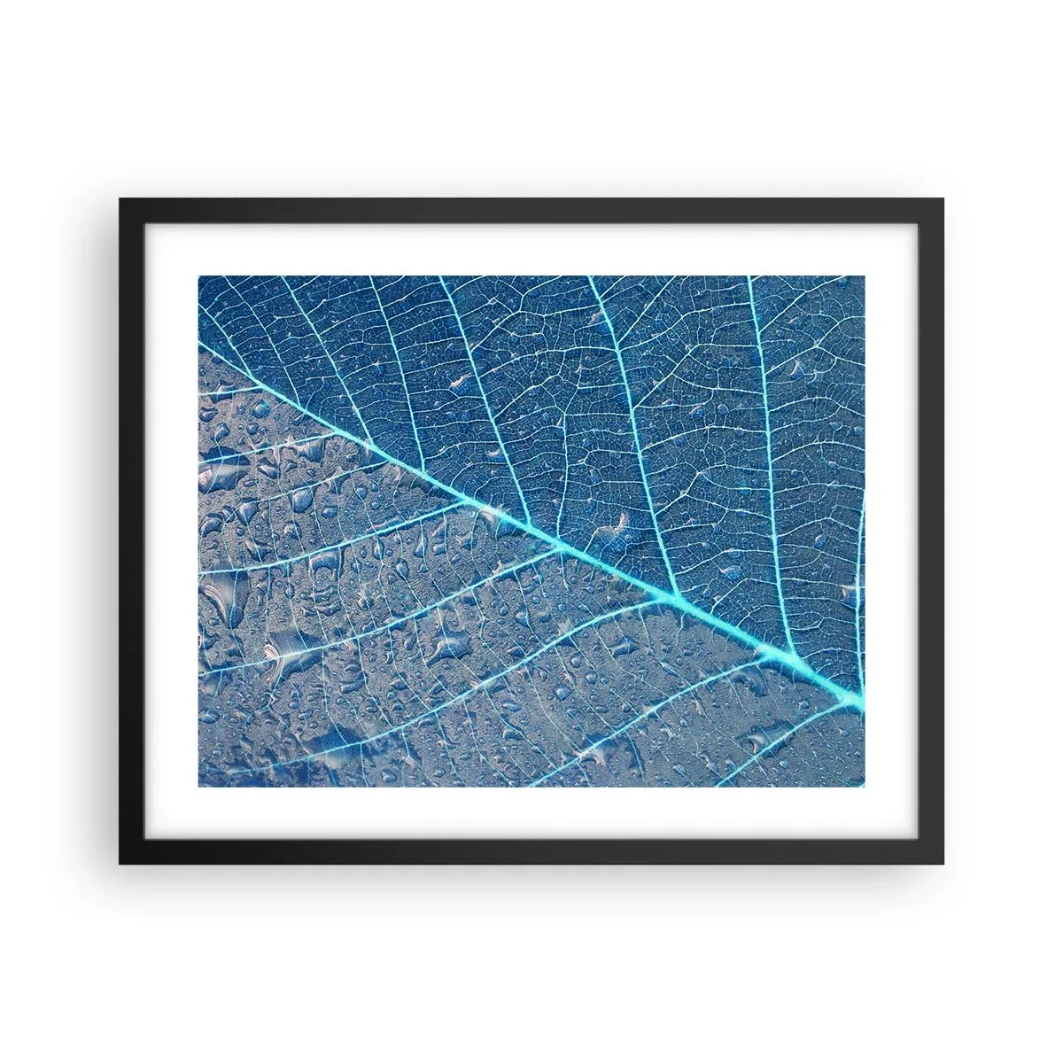 Plakat i sort ramme - Livet i det blå - 50x40 cm