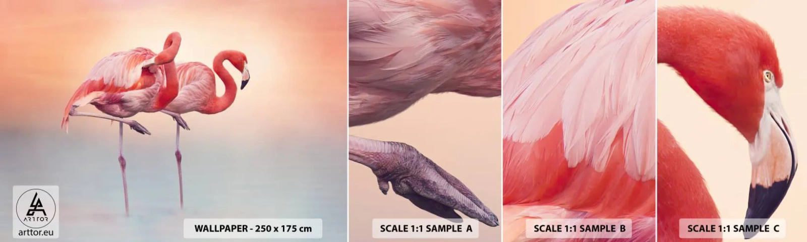 Fototapet Prøve Standard Eco - I farven af den nedgående sol - Flamingoer, Fugle, Natur - 100x30 cm